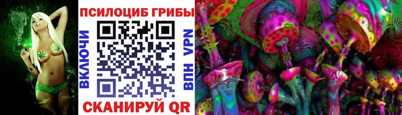 Галлюциногенные грибы мицелий  Кизилюрт 